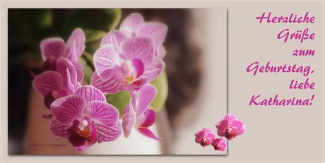 Geburtstagsspruche fur it