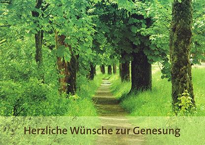 Herzliche wunsche zur genesung