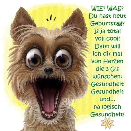 Geburtstag mann bild lustig