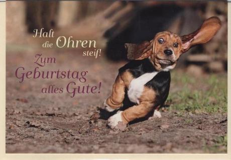 Geburtstag mann bild lustig