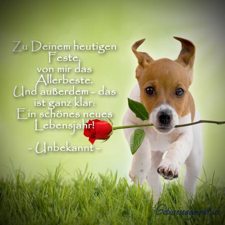 Geburtstagswunsche zum 72