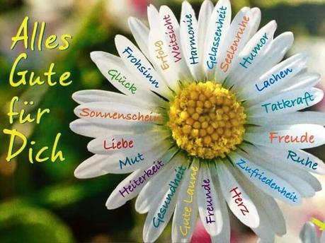 Geburtstagswunsche freundin gesundheit