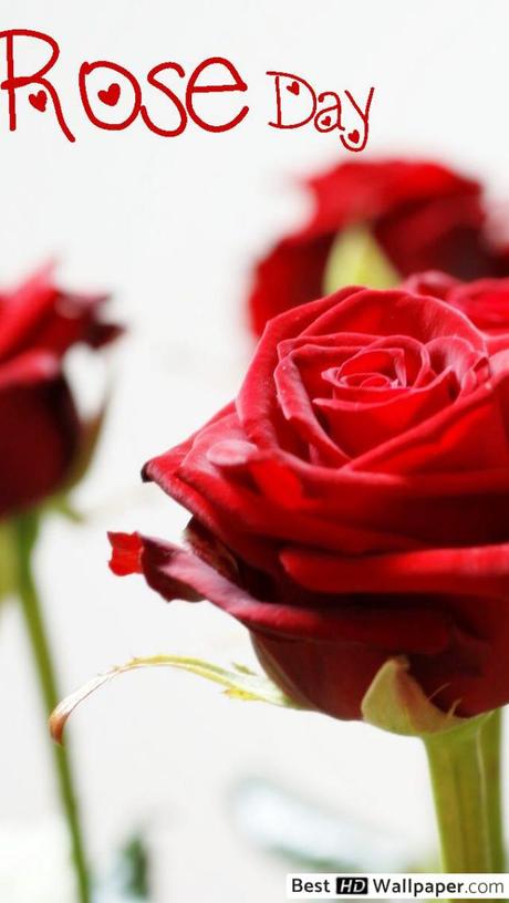 Wallpaper valentinstag iphone