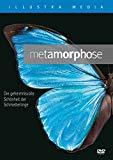 Metamorphose: Die geheimnisvolle Schönheit der Schmetterlinge
