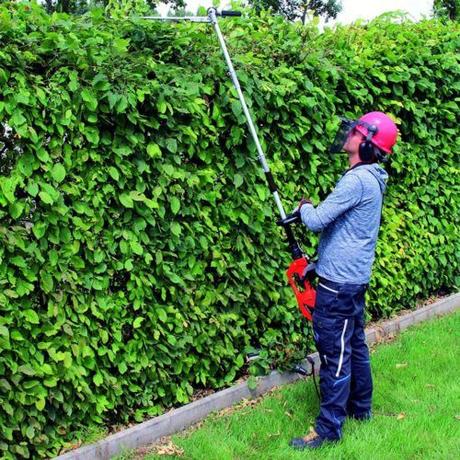 Beste Profi Heckenschere