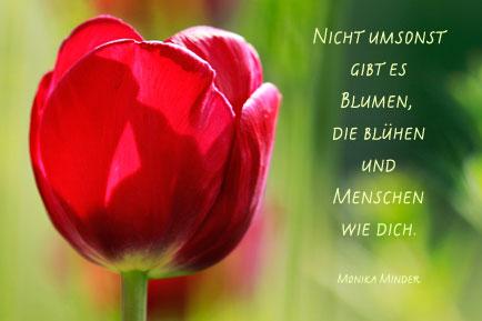 Gluckwunsche geburtstag mutter 75