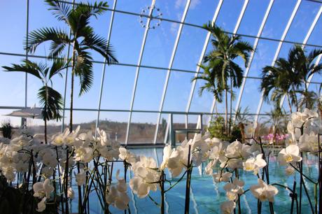 Therme sinsheim valentinstag