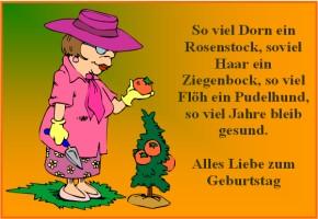 Geburtstagswunsche bilder 34