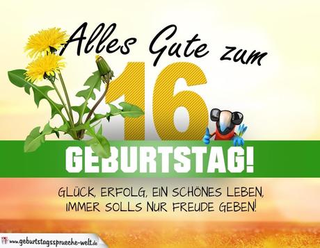 Gluckwunsche zum 11 geburtstag