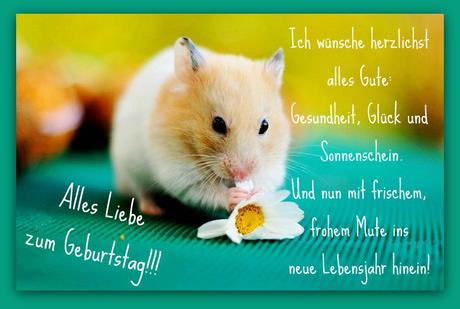 Gluckwunsche zum 11 geburtstag