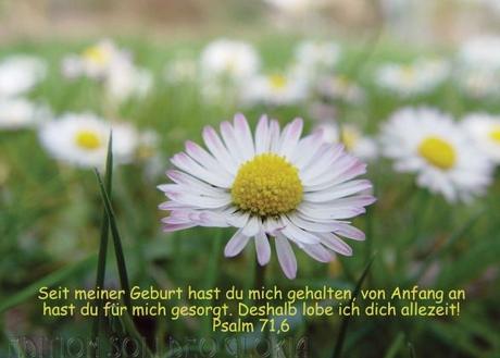 Kurze religiose geburtstagswunsche