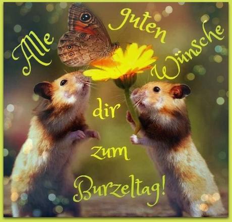 Geburtstagswunsche fur mann bilder