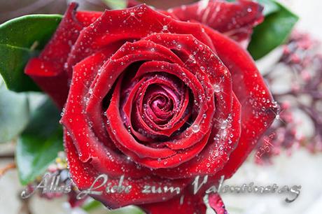 Valentinstag spruche mit blumen