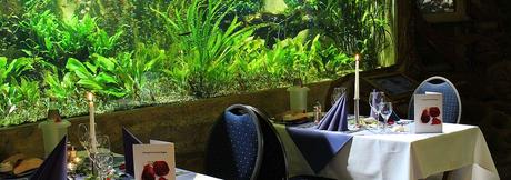 Restaurant valentinstag osnabruck