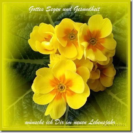 Gluckwunsche zum geburtstag und gottes segen