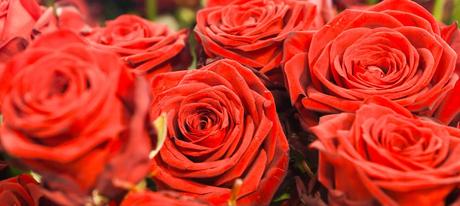 Valentinstag essen dresden