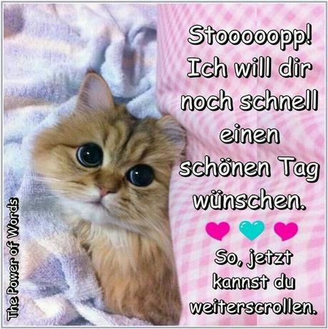 Ich wunsche dir ein schonen tag noch