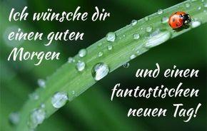 Ich wunsche dir ein schonen tag noch