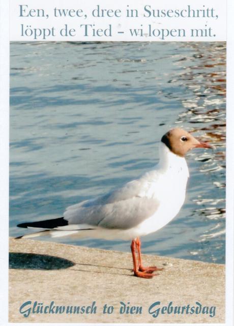 Spruche zum 50 geburtstag plattdeutsch