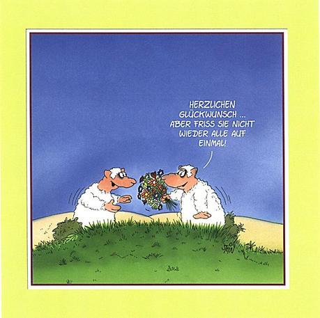 Spruche zum 50 geburtstag plattdeutsch