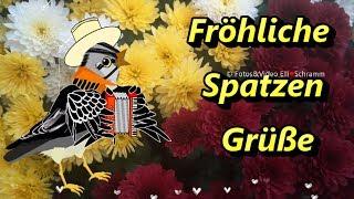 Guten morgen schonen valentinstag