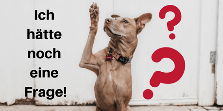 Creatin-Guide: Alles was du wissen musst