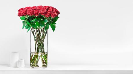 Valentinstag rosen bedeutung