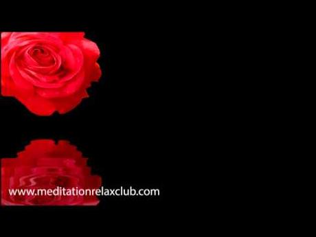 Musik zum film valentinstag