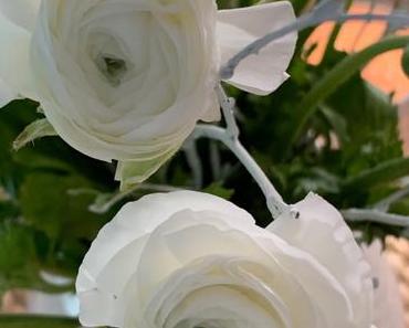 Friday-Flowerday – oder – Heute Ton in Ton: Weiß