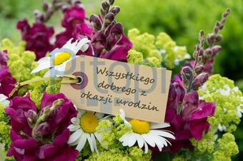 Gluckwunsche zum geburtstag in polnisch