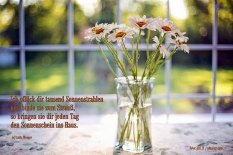 Gluckwunsche zum 60 geburtstag segler