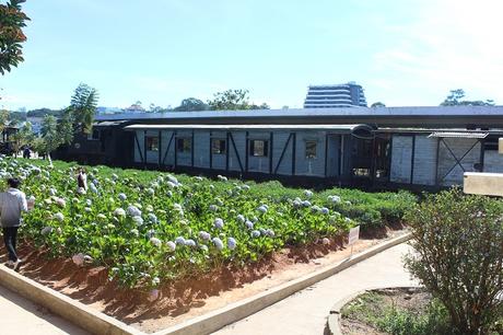 alte Züge Bahnhof Da lat