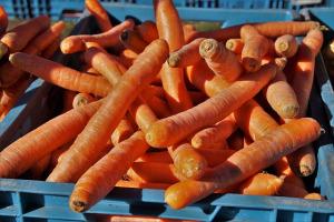 Resteküche – viel zu viele Karotten
