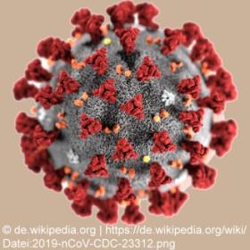 Name für Coronavirus und die Lungenerkrankung