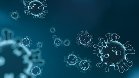 Der Coronavirus bestätigt das Kleine-Welt-Phänomen