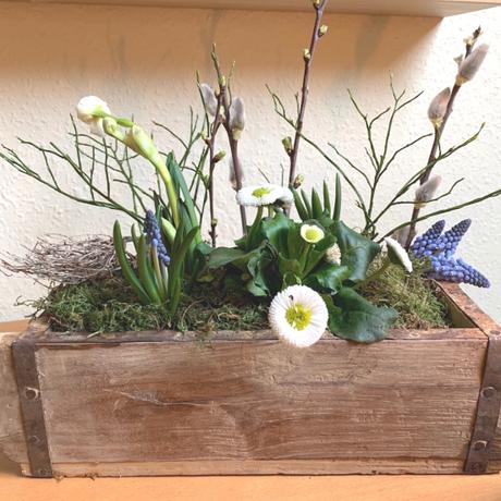 Friday-Flowerday – oder –  Frühling in der Kiste