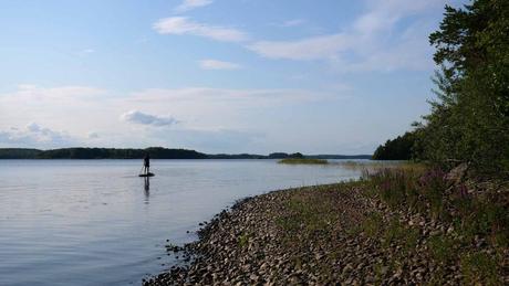 Hecht, Blaubeeren & Flussminze: Mit dem SUP auf schwedischen Seen