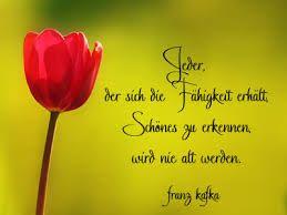 Geburtstagswunsche geburtstag frau