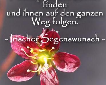 wallpaper-1689754