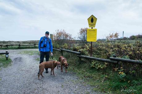 2 Tipps zum Wandern mit Hund auf Sylt