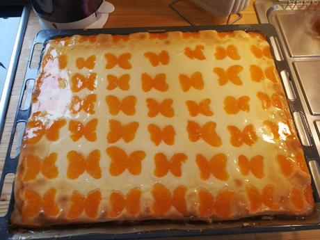 Quarkkuchen vom Blech mit Früchten