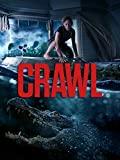 Die Falle – Crawl (2019)