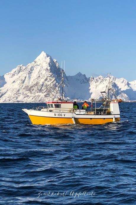 Meine Reise zu Lofoten und zum Skrei-Fischen – Rezept Skrei-Filet mit Rahmsauerkraut