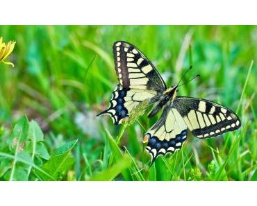 Wandertipps und Ausflugtipps in Zeiten von Corona?