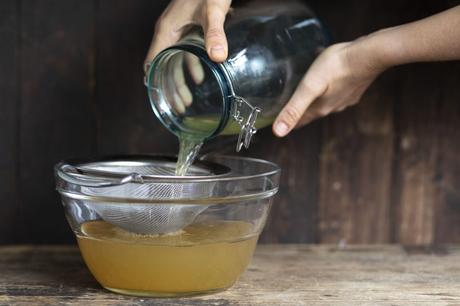 Kombucha selber machen: Die ersten Schritte mit dem Teepilz