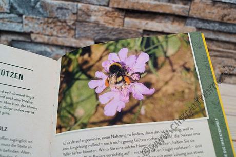 Mit etwas Hilfe habe ich dieses Jahr hoffentlich eine schöne Insektenwiese wo es summt und brummt #Buch #frechverlag #Natur