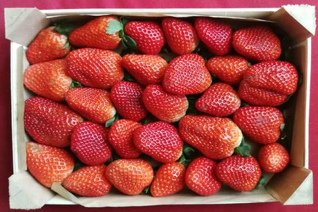 Foto: Frische Erdbeeren vom Wochenmarkt