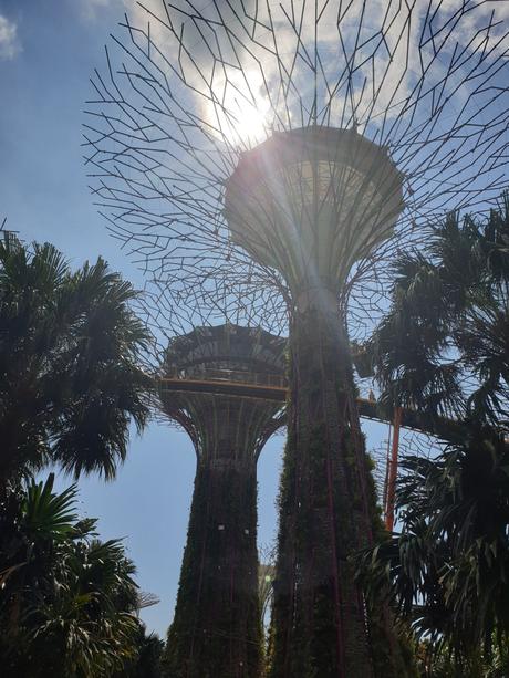 Rückblick – unsere ersten 2 Monate in Singapur