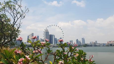 Rückblick – unsere ersten 2 Monate in Singapur