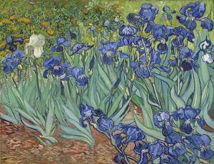 Van-Gogh-Irises
